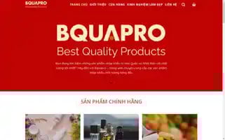 Bquapro.com Screenshot 2024-05-24 04:02:51