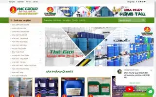 Hoachatvungtau.com Screenshot 2024-06-14 15:18:20