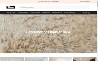 Tapis-paradise.com Screenshot 2024-05-28 20:48:01