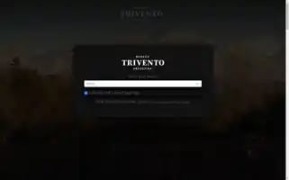 Trivento.com Screenshot 2024-06-16 15:07:54