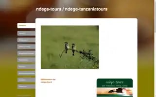 Ndege-tours.com Screenshot 2024-04-17 18:40:57