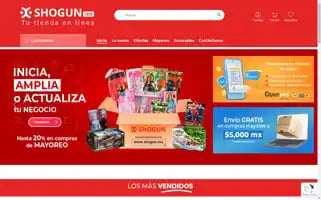 Shogun.mx Screenshot 2024-05-21 22:37:56