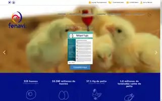 Fenavi.org Screenshot 2024-07-02 04:17:30