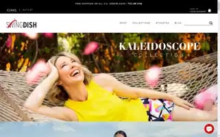 Swingdish.com Screenshot 2024-05-14 04:08:03