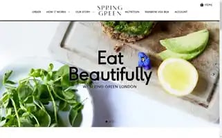 Springgreenlondon.com Screenshot 2024-05-04 21:12:28