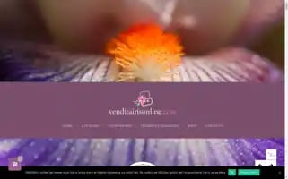 Venditairisonline.com Screenshot 2024-05-20 00:42:08