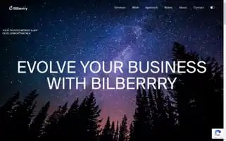 Bilberrry.com Screenshot 2024-07-09 11:47:45