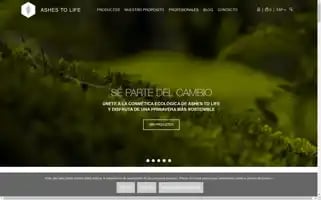 Ashestolife.es Screenshot 2024-06-12 16:47:01