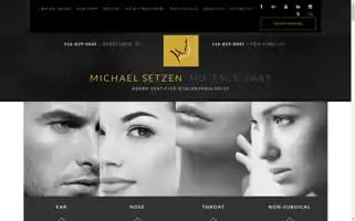 Michaelsetzen.com Screenshot 2024-06-17 03:13:28