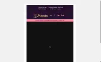 Femix.store Screenshot 2024-05-28 12:44:15