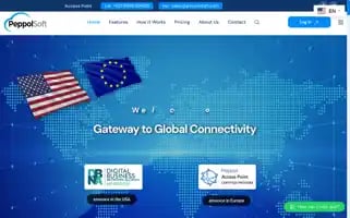 Peppolsoft.com Screenshot 2024-05-24 01:55:38