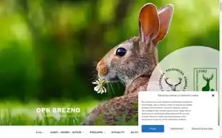 Opkbrezno.sk Screenshot 2024-07-10 06:09:59