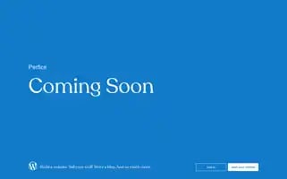 Perficejewelry.com Screenshot 2024-05-24 10:28:06