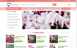 Gionghoalan.net Screenshot 2024-06-25 08:28:28