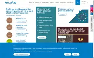 Enartis.com Screenshot 2024-07-04 06:56:59