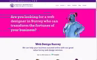 Indigomarmoset.co.uk Screenshot 2024-07-04 19:17:34