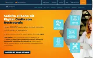 Nestrategia.com Screenshot 2024-06-27 03:29:36