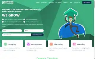 Sapienceglobal.com Screenshot 2024-06-13 00:36:45