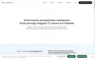 Salesintelligence.pl Screenshot 2024-06-27 02:58:31