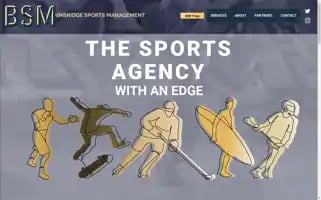 Bsmtrips.com Screenshot 2024-04-22 23:03:11