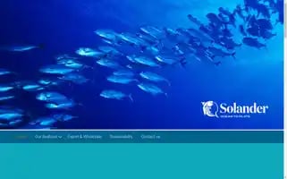 Solander.com Screenshot 2024-07-03 04:19:40