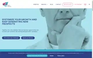 Vsmmarketing.com Screenshot 2024-07-08 17:17:45