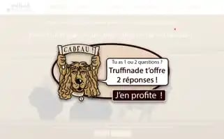 Truffinade.fr Screenshot 2024-06-15 17:00:53