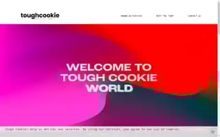 Toughcookie.marketing Screenshot 2024-06-28 04:59:00