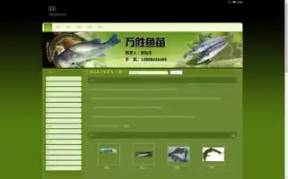 Budgetrajasthantourpackages.com Screenshot 2024-04-24 03:23:25