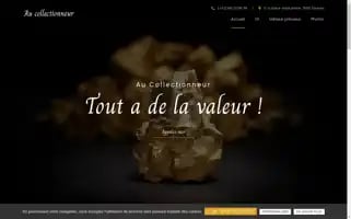 Au-collectionneur-achat-or-tournai.com Screenshot 2024-04-19 10:49:17