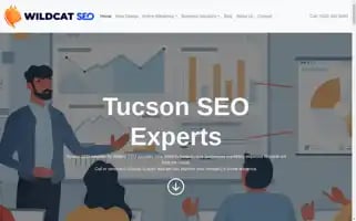 Wildcatseo.com Screenshot 2024-06-12 23:35:19