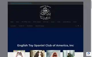 Englishtoyspanielclubofamerica.org Screenshot 2024-06-11 16:08:57