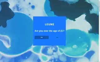 Leune.co Screenshot 2024-07-06 22:44:54