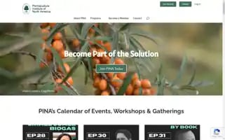 Pina.in Screenshot 2024-07-01 06:54:24