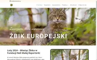 Fundacjaneli.org Screenshot 2024-07-07 17:01:45