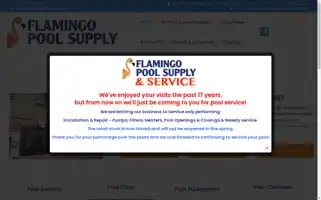 Flamingopoolsupply.com Screenshot 2024-05-09 17:55:08
