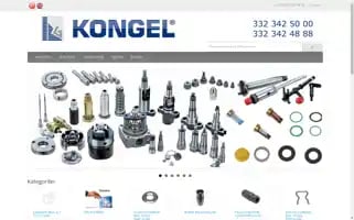 Kongel.com Screenshot 2024-06-12 23:49:15
