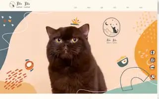 Catchcatch.com.tw Screenshot 2024-07-10 04:41:14