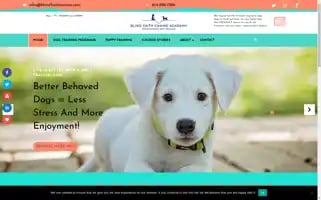 Blindfaithcanine.com Screenshot 2024-05-18 07:42:22