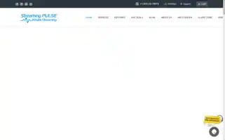 Streamingpulse.com Screenshot 2024-05-14 02:44:16