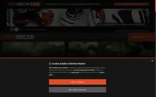 Tigermuaythai.com Screenshot 2024-05-14 12:26:01