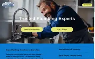 Boozeplumbing.com Screenshot 2024-05-15 15:05:56