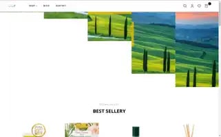 Ideatoscana.pl Screenshot 2024-05-21 21:54:40