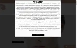 Theritzandglam.com Screenshot 2024-05-16 21:14:19