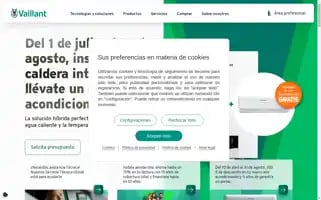 Vaillant.es Screenshot 2024-07-10 01:32:14