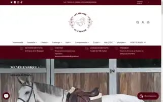 Lestresorsducavalier.fr Screenshot 2024-04-27 05:37:00