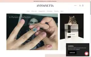 Antoanetta.com Screenshot 2024-05-05 12:26:25