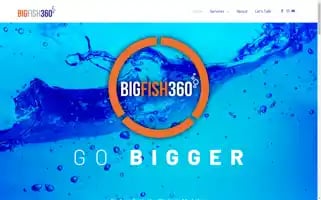 Bigfish360.com Screenshot 2024-06-13 23:28:19