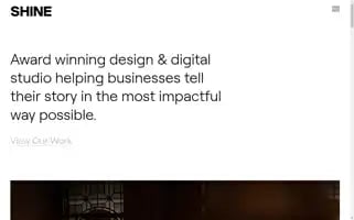 Theshineagency.com Screenshot 2024-06-30 15:00:12