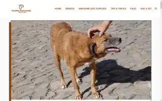Healthyhomemadedogtreats.com Screenshot 2024-06-15 13:29:15